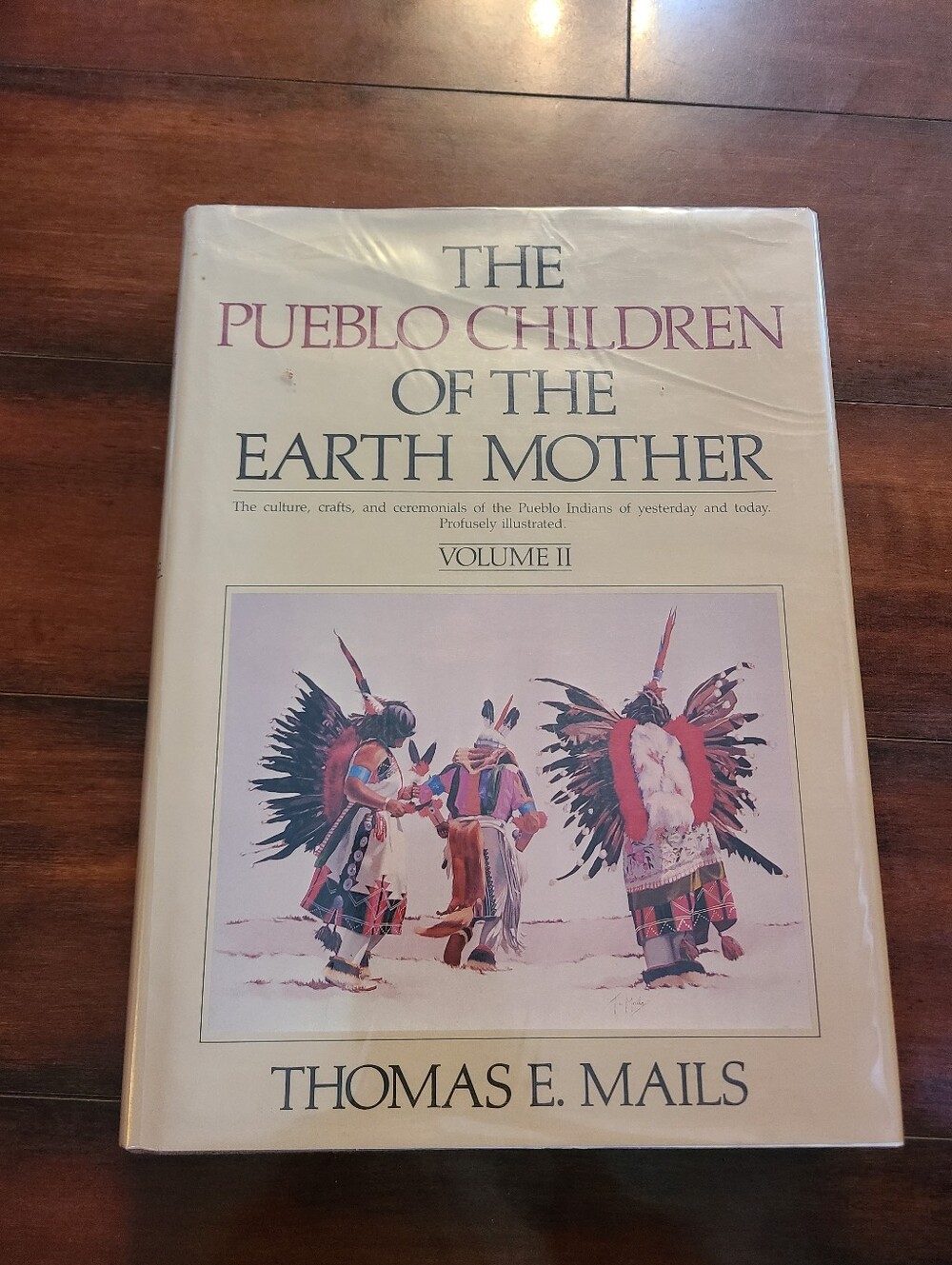 Pueblo Children of the Earth Mother Volume 2 Thomas Mails 1st Ed 1983 HC